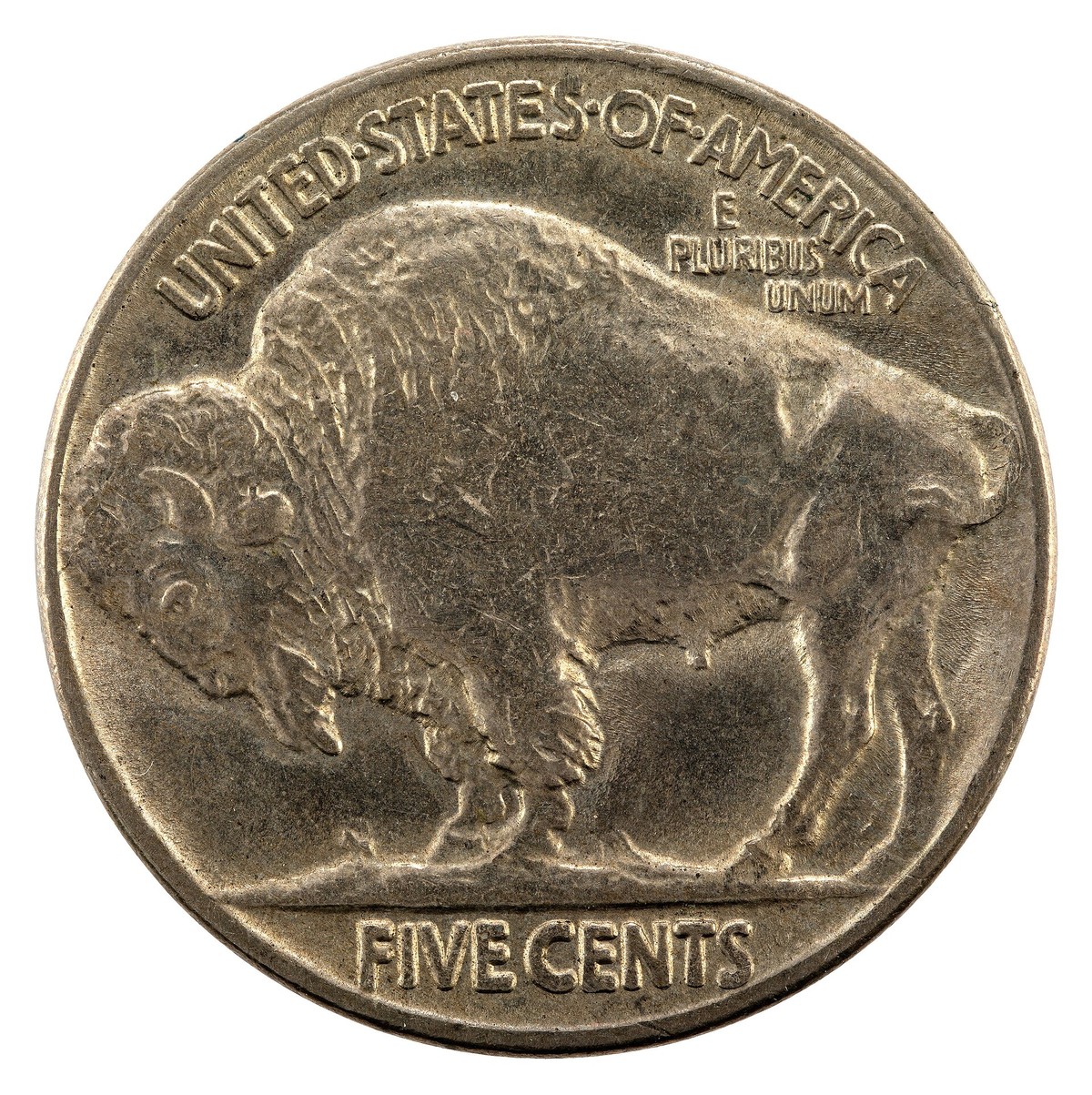 Buffalo nickel Type 2 line reverse