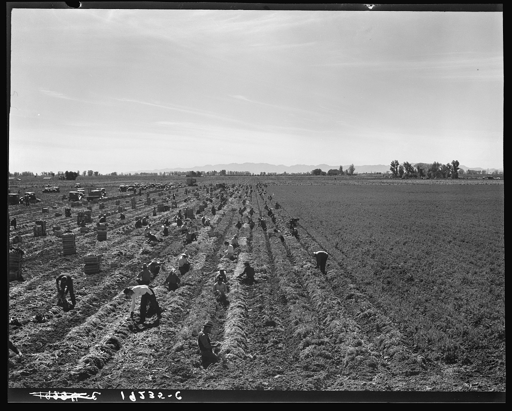Itinerants along the road in California